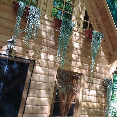 Villa Brvnara Fairy Tale Cetinje Exterior foto