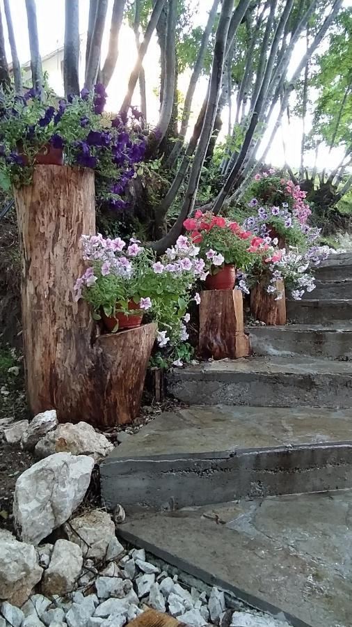 Villa Brvnara Fairy Tale Cetinje Exterior foto