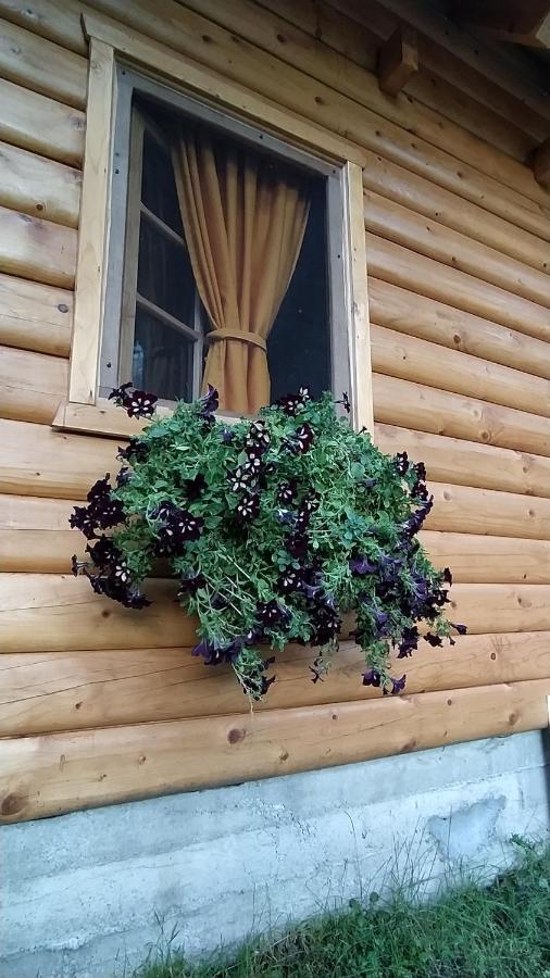 Villa Brvnara Fairy Tale Cetinje Exterior foto